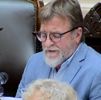 Rizzotti apuntó contra el Presupuesto 2026: "Tiene equilibrio fiscal, pero desequilibrio social y federal"