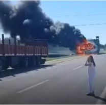 Se prendi&oacute; fuego un cami&oacute;n que transportaba ganado en plena ruta norte&ntilde;a
