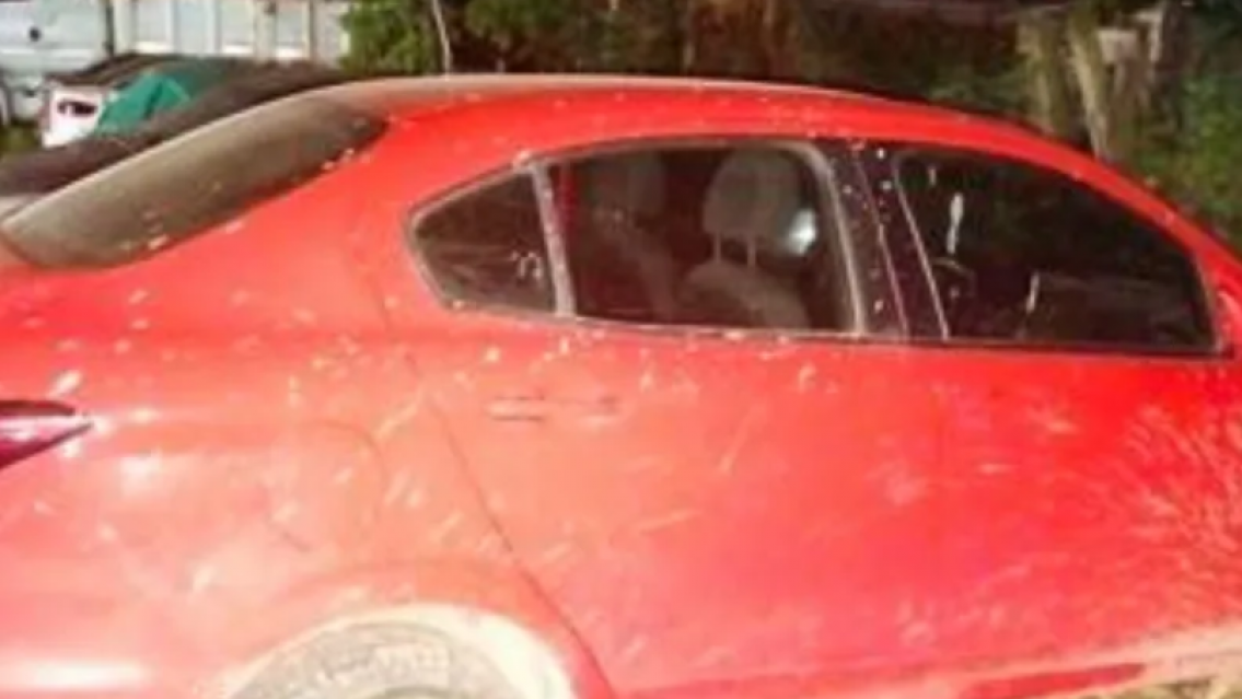 El golpe que los narcos no esperaban en Jujuy: 18 detenidos tras una semana de operativos