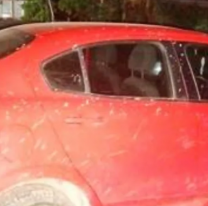 El golpe que los narcos no esperaban en Jujuy: 18 detenidos tras una semana de operativos