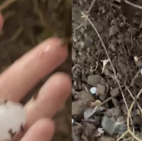 Cuándo llega el granizo y qué zonas la pasarán peor en Jujuy