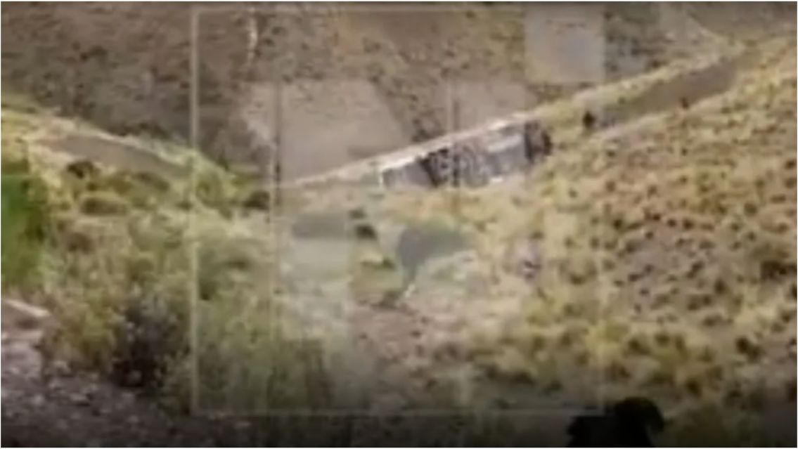 Captura de video.