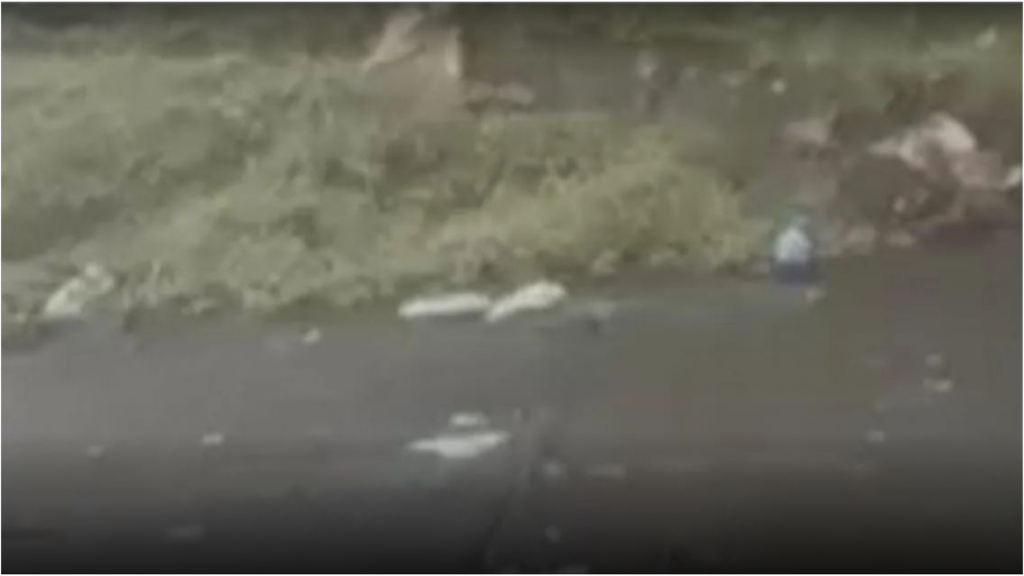 Bajó a la ruta a orinar y sus padres murieron tras ser embestidos por un camión