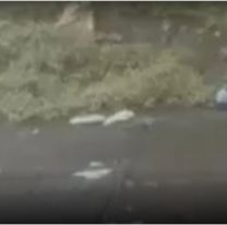 Baj&oacute; a la ruta a orinar y sus padres murieron tras ser embestidos por un cami&oacute;n