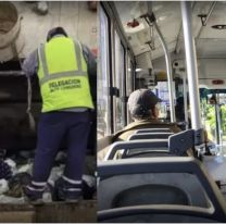 As&iacute; funcionar&aacute;n los servicios durante las fiestas: lo que ten&eacute;s que saber