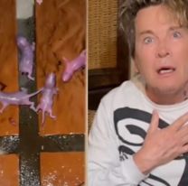 Guido S&uuml;ller descubri&oacute; ratitas beb&eacute; en sus casa y les hizo algo horrible: van a denunciarlo