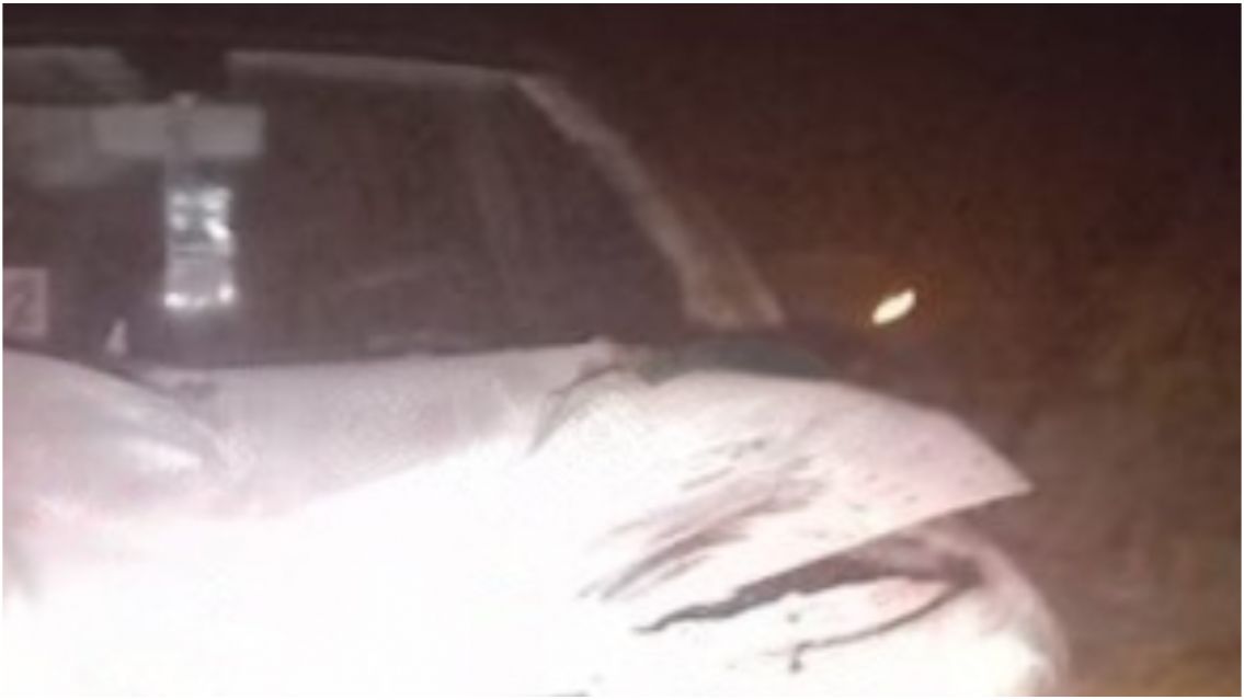 El cantante de un conocido grupo de cumbia perdi� el control de su veh�culo y se accident�