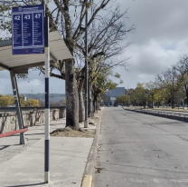 Navidad sin colectivos por la mañana: a qué hora vuelve el transporte en la capital