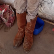 Alerta en Jujuy: se fug&oacute; el "gato con botas" y lo buscan por todos lados