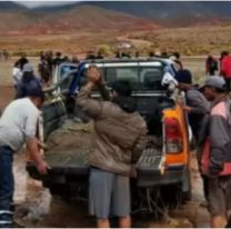 Ruta 40 bajo agua: una camioneta era llevada por el r&iacute;o y vecinos salieron al rescate