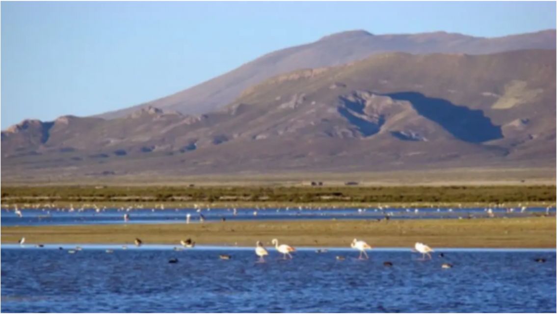 Restringen el ingreso a la Laguna de los Pozuelos: qué pasó