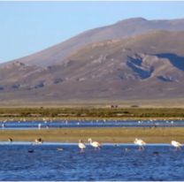 Restringen el ingreso a la Laguna de los Pozuelos: qu&eacute; pas&oacute;