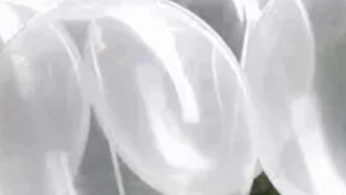 �Y esos globitos? "No es lo que parece", �l estaba convencido de que le eran infiel 
