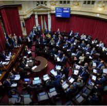 El Senado convirtió en ley la Inocencia Fiscal: cómo impacta en los contribuyentes