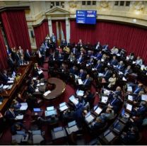 El Senado convirtió en ley la Inocencia Fiscal: cómo impacta en los contribuyentes