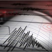 Jujuy tembló en plena madrugada: por eso ladraban los perros