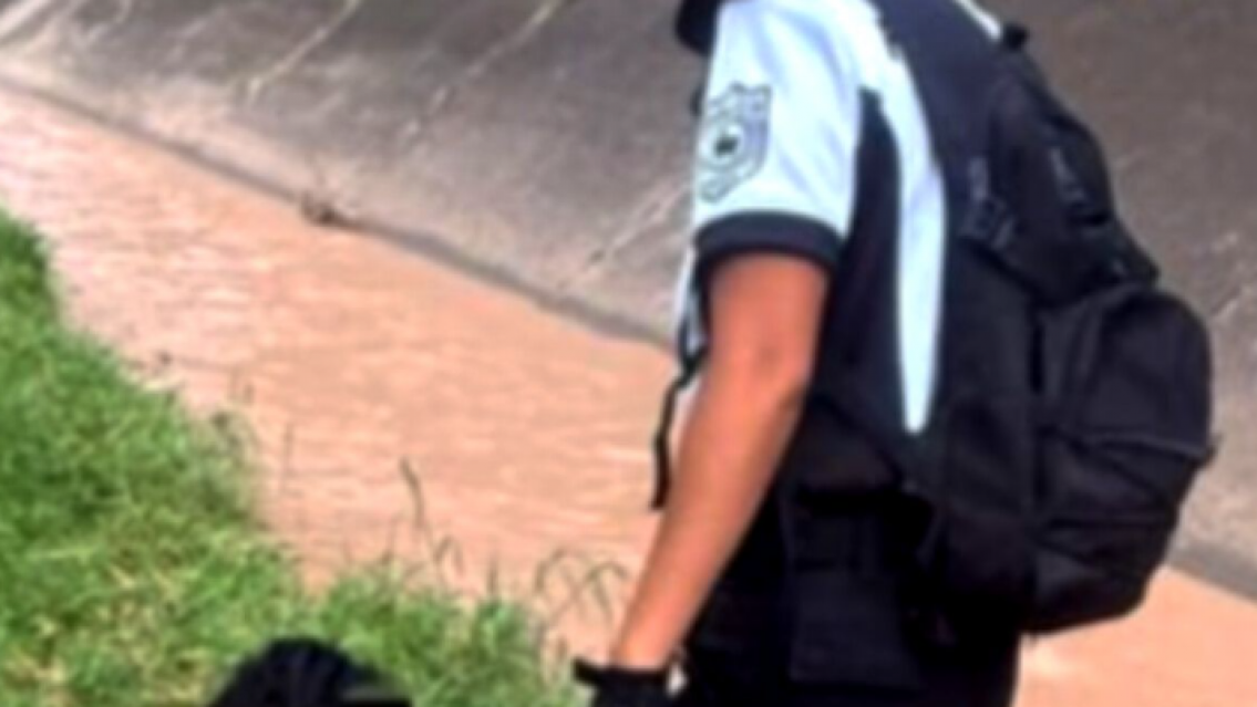 Cayeron a un canal y fueron arrastrados por la corriente: dram�tico rescate en San Pedro