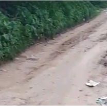 Calles destruidas en Alto Comedero: vecinos apuntan al recorrido del colectivo