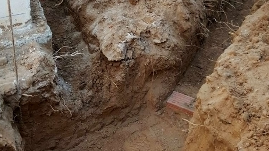 Macabro hallazgo: encuentran a un hombre sin vida en una zanja 