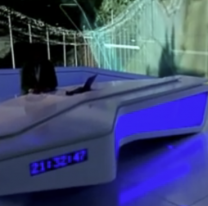 Conductor norte&ntilde;o que la rompe en Buenos Aires: "llegu&eacute; sin signos vitales"