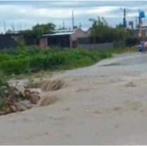 Se derrumb&oacute; un puente en el limite de Alto Comedero y Palpal&aacute;