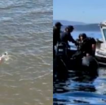 Se meti&oacute; al r&iacute;o y nunca volvi&oacute;: buscan desesperadamente a un hombre de 33 a&ntilde;os