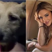 ¡Emotivo rescate! El gran gesto de Evangelina Anderson con un perrito perdido
