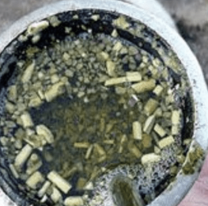 Le pegó a su mujer con un látigo porque "le preparó mal el mate"