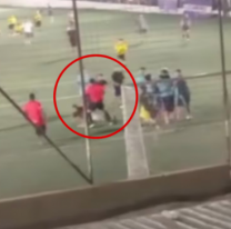 &Aacute;rbitro le peg&oacute; una pi&ntilde;a a un hincha y desat&oacute; una batalla campal
