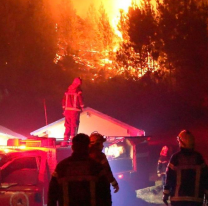 Ayudó a combatir el incendio en Chubut y murió junto a su perro mientras huía del fuego