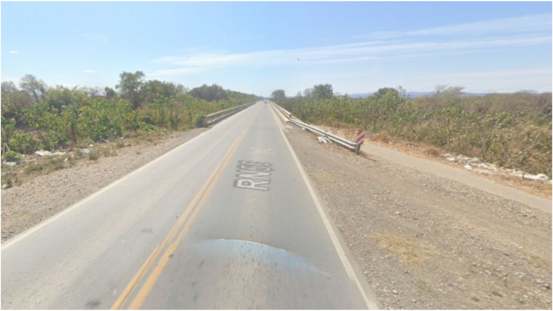 Sorpresa en plena ruta: el animalito que encontraron los vecinos