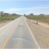 Sorpresa en plena ruta: el animalito que encontraron los vecinos