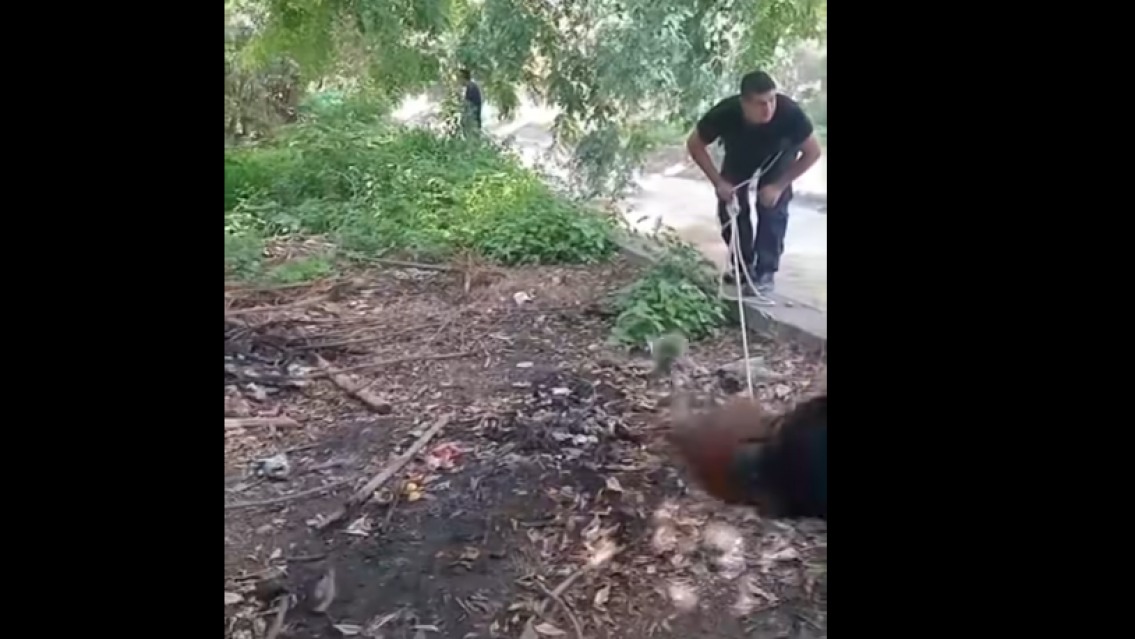 Drama al borde del "canal de la muerte": polic�as evitaron que un juje�o tomara la peor decisi�n