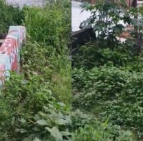 Vecinos estallaron por el abandono en la escalera del Chingo: "Solo limpian para el carnaval"