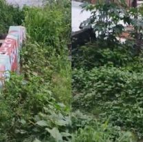 Vecinos estallaron por el abandono en la escalera del Chingo: "Solo limpian para el carnaval"