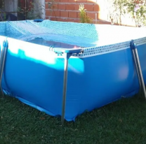 Se metieron a escondidas en la pelopincho de la vecina, la rompieron y desataron lo peor