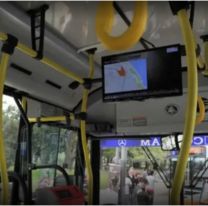 Intentó hacerle algo horrible a una mujer en el bondi y lo molieron a golpes