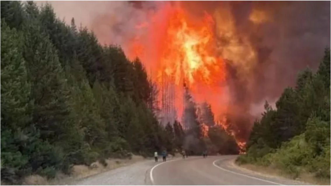 Incendio histórico en Chubut: las llamas habrían sido provocadas intencionalmente