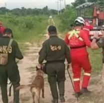 Hallaron sin vida a una nena de 8 a&ntilde;os cerca de su casa: buscan al asesino