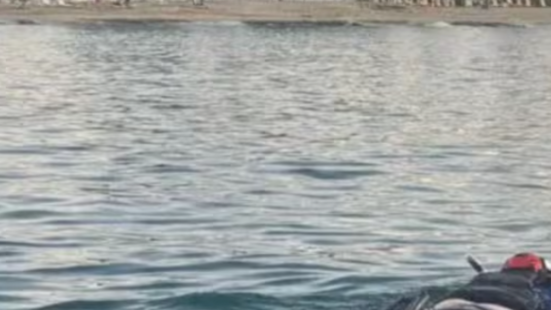 Terror en el para�so: una turista muri� tras un brutal ataque de tibur�n