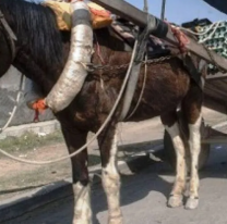 Terror en el norte argentino: pas&oacute; un carro y arrojaron a una mujer atada en la calle