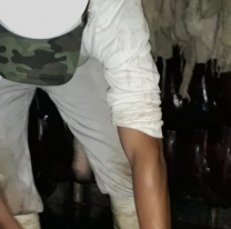 Conmoción en el norte argentino: encontraron una carnicería que hacía morcillas con gatitos