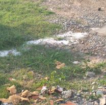 Bronca en Alto Comedero: denuncian que una familia tira l&iacute;quidos cloacales a la calle