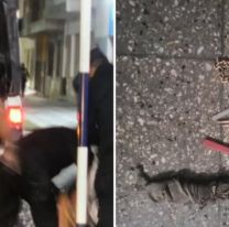 Cayeron los "robacalle": patota de Jujuy robaba y golpeaba a personas en situación de calle