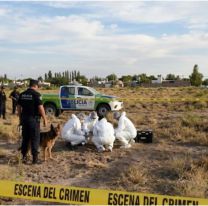 Macabro hallazgo: un perro apareci&oacute; con huesos humanos y alert&oacute; a todo un barrio