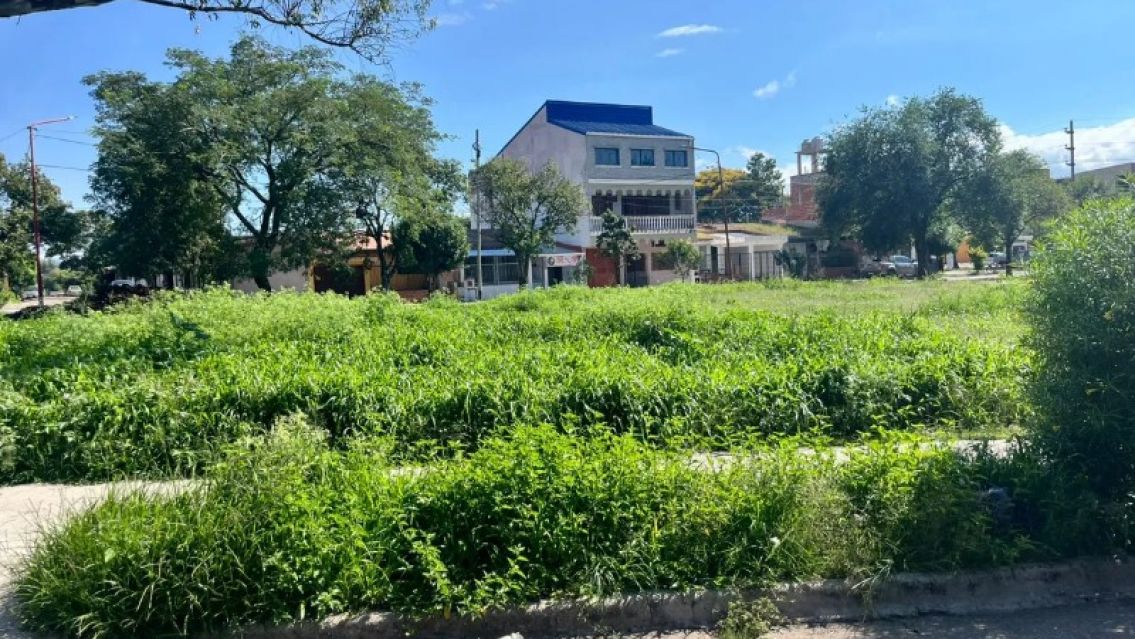 "La ciudad est� abandonada": el duro reclamo al intendente Rivarola en Palpal�