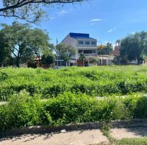 "La ciudad est&aacute; abandonada": el duro reclamo al intendente Rivarola en Palpal&aacute;