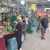 Subió la hoja de coca: cuánto cuesta coquear hoy en Jujuy