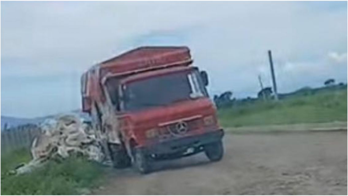 Camiones tiran basura y animales muertos: fuerte denuncia de vecinos de Alto Comedero