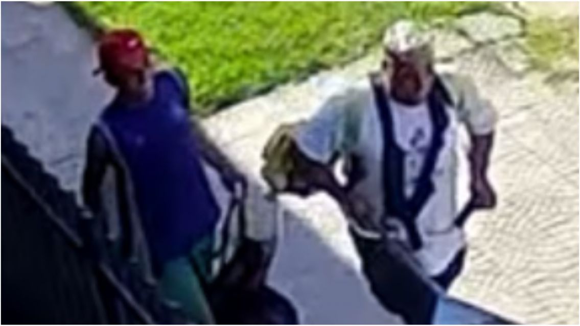 Le ofrecieron cortarle el pasto a un jubilado y lo mataron para robarle 